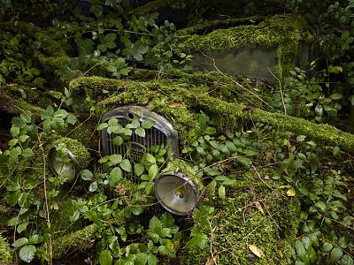 peter_lippmann_300_auto.jpg