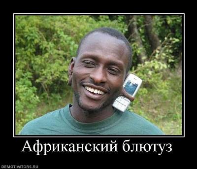 837282_afrikanskij-blyutuz.jpg