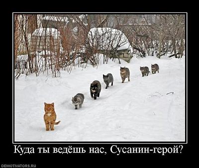840048_kuda-tyi-vedyosh-nas-susanin-geroj.jpg