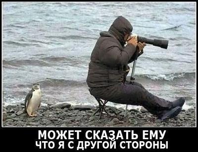 фотограф.jpg