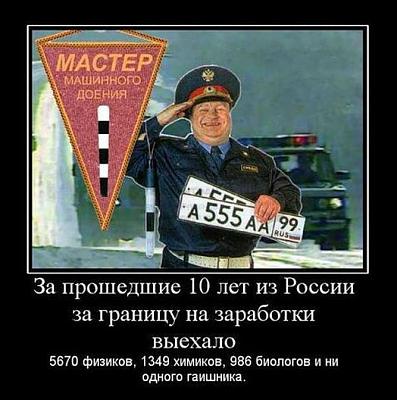 гаи.jpg