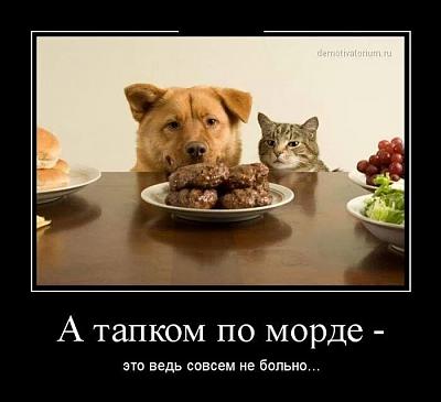 IMG_55314350104161.jpeg
