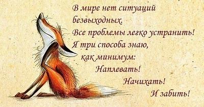 сп.jpg