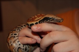 IMG_7366.JPG