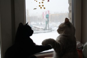 Изображение 032.jpg