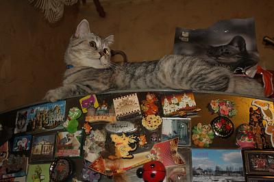 IMG_7439.JPG