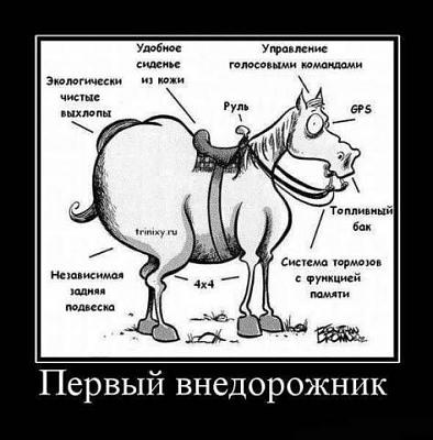 Первый.jpg