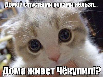 чк.jpg
