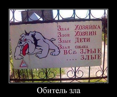 собака.jpg