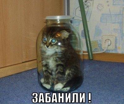 1398427168_anmakz8wa5a (1).jpg
