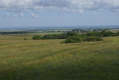 DSC05476.jpg