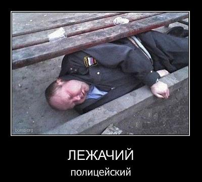 1297030962_1-27.jpg