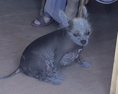 image.jpg