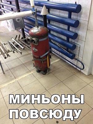 Миньон.JPG