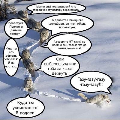волки-смешные-картинки-песочница-3637022.jpeg