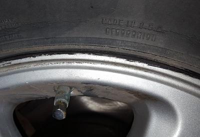 20170420_071314.jpg