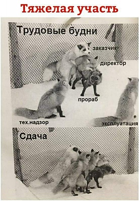 24177229_1720569764683699_1813729185039736633_n.jpg