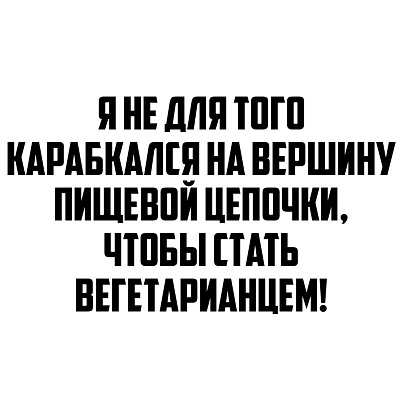 x1bNDrBWQ58.jpg