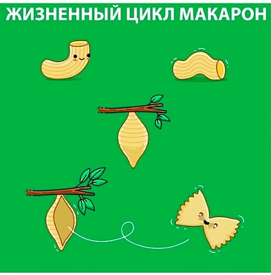 525YdFjKJs8.jpg