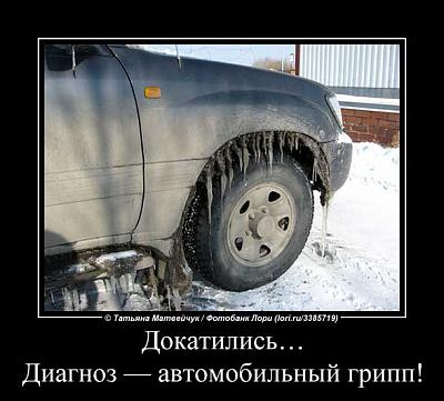 Ав. грипп.jpg