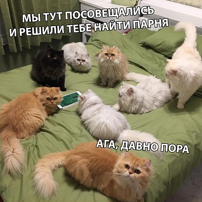 CBT9d7fdgUs.jpg