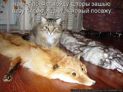 getImage2.jpg