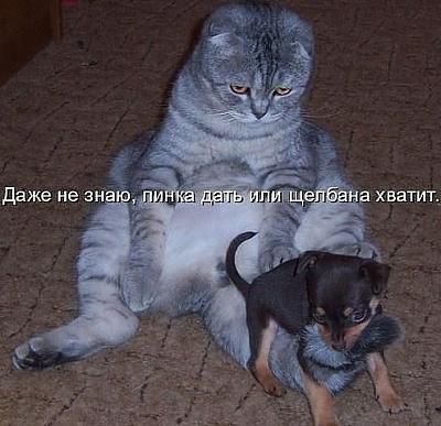 getImage7.jpg