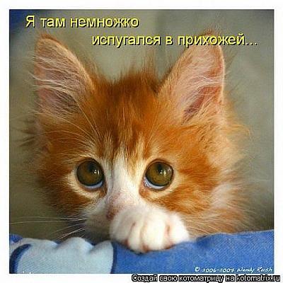 getImage10.jpg