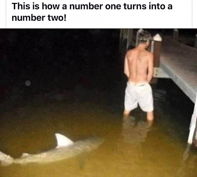 60314152_10214795323776552_6307054067088621568_n.jpg