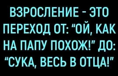 65268933_377498192881520_8658705389300219904_n.jpg