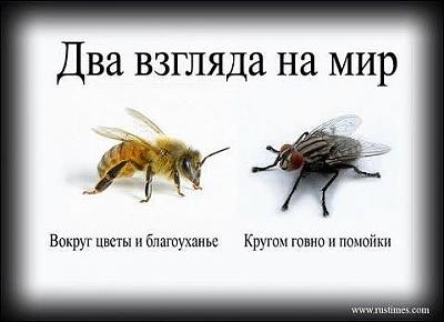Два взляда.....jpg