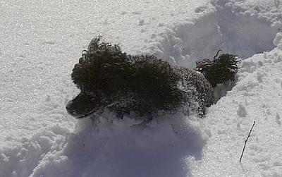 0_54c88_5d11a9de_-1-orig с.jpg