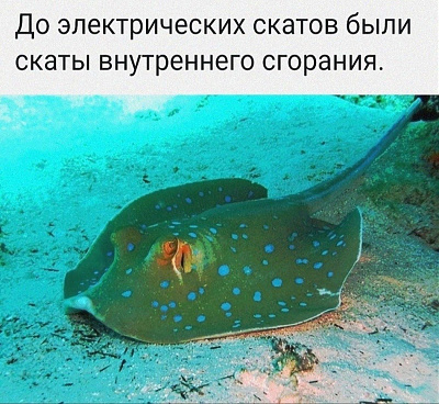 Снимок.JPG