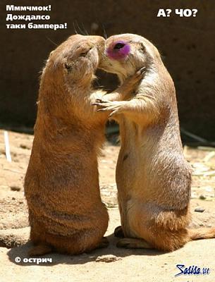 1132007555_051114_kiss.jpg