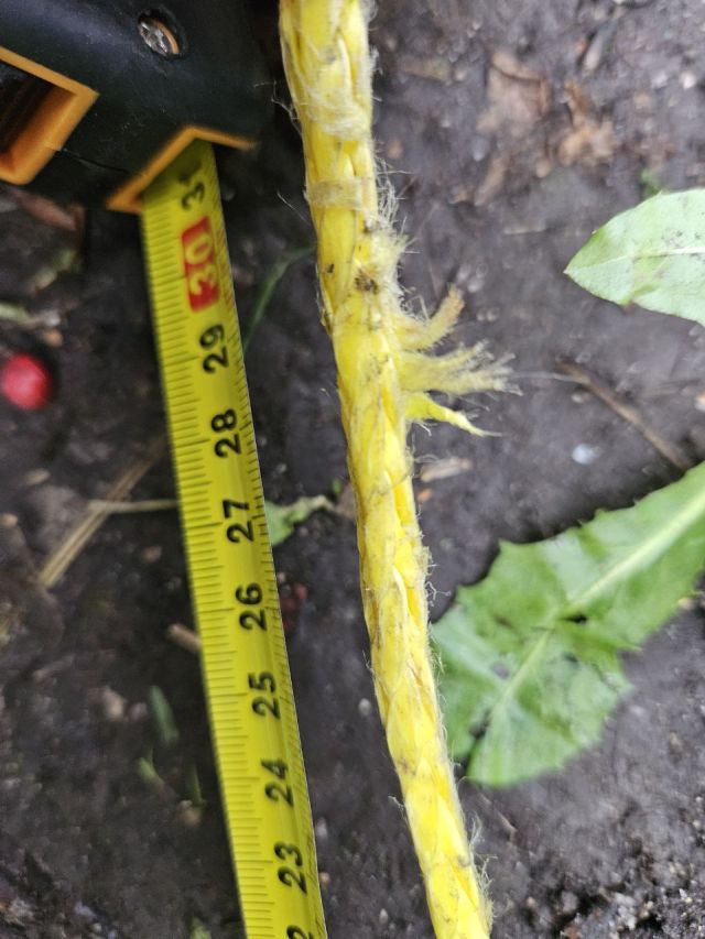 wire1.jpg