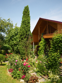 IMGP40591.jpg